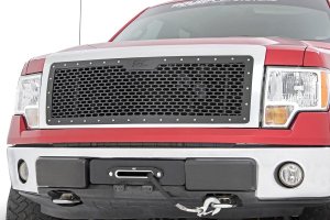 Grille en maille | Ford F-150 2WD/4WD (2009-2014)